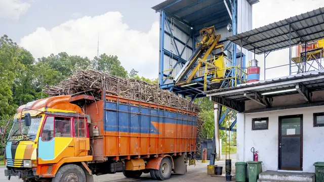 Laba Bersih PTPN III Melonjak 81%, Sawit Jadi Penopang Utama image 2