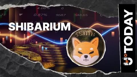 Shiba Inu: Shibarium Sees Sudden 758% Transaction Drop, What's Behind?