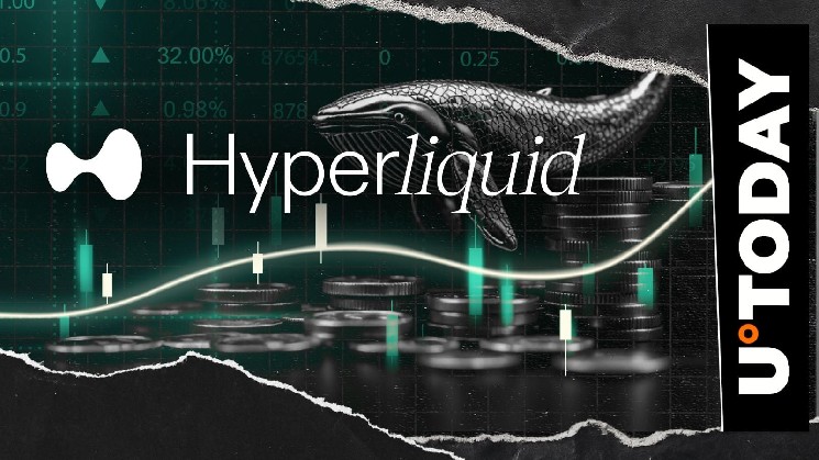 Hyperliquid (HYPE) Is Not Over: Spike in Whale Activity Spotted
