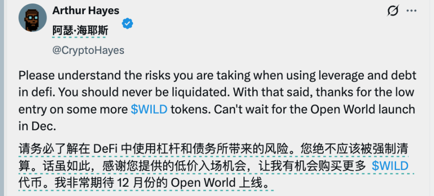 Arthur Hayes 2025 交易账本：左手喊单造梦，右手链上清仓 image 4