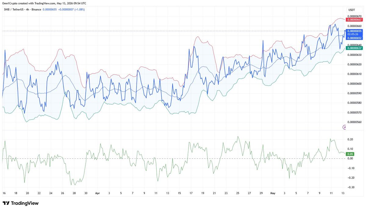 SHIB’s Liquidity Shocks Markets: What’s Stopping The Bounce? image 1
