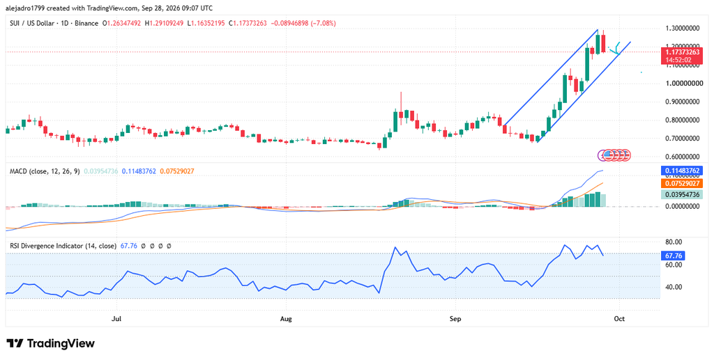 SUI Tests Channel Support After Sharp Rally image 0
