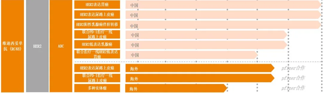 乳腺癌赛道逼近决赛圈，恒瑞、荣昌、乐普、映恩、科伦博泰、百利天恒谁将胜出？ image 3