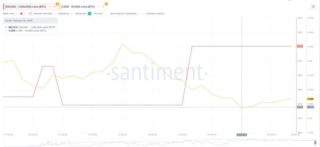Prediksi Harga Bitcoin (BTC) Maret 2026: Lonjakan atau Terjun Bebas? image 3