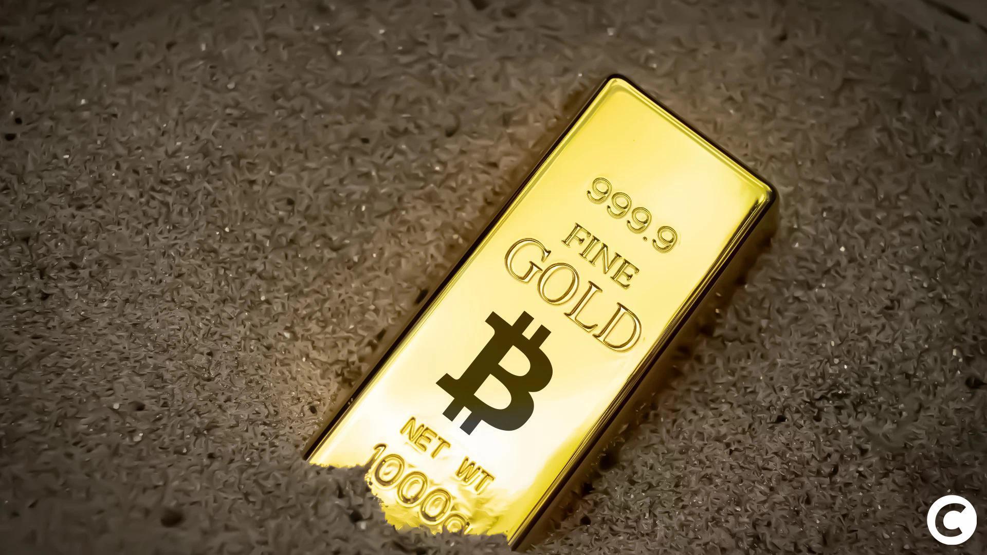 Prochain bull run : les 4 cryptos que le CIO de Bitwise refuse de lâcher  image 3