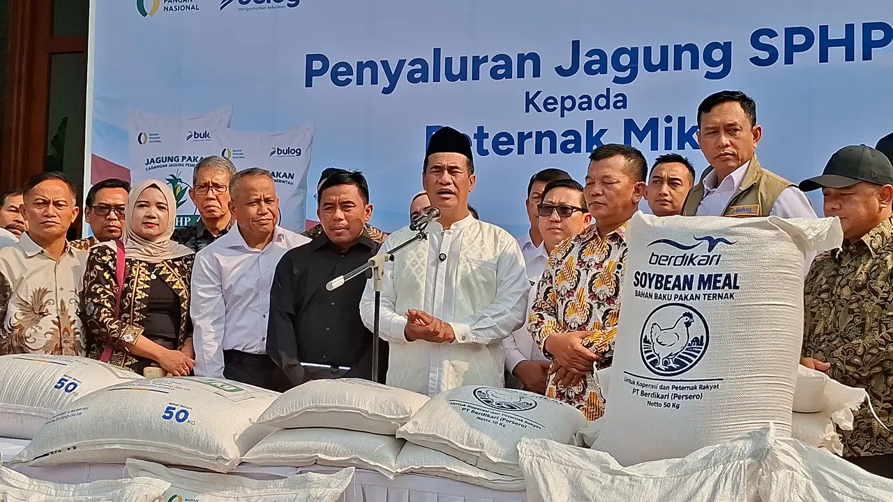 Amran Minta MBG Pakai Menu Telur Tiga Kali Sepekan Buat Jaga Harga image 0