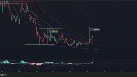 Cardano Price Breakout Targets $0.32 as ADA Momentum Builds
