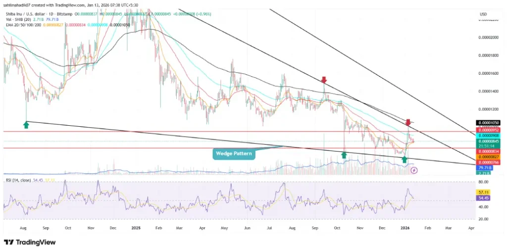 Shiba Inu Faces Volatility Threat as Top Wallets Tighten Their Grip image 3