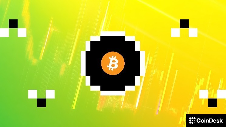 Everyone's calling bitcoin resilient, may be it's just complacent image 1