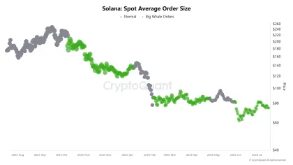 Examining why Solana’s liquidation heatmap has identified THESE price targets