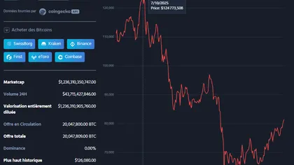 Cryptomonnaies : Le marché perd 2 300 milliards de dollars en 8 mois