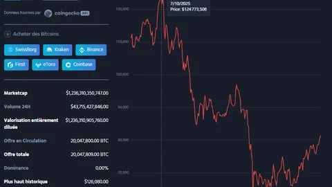 Cryptomonnaies : Le marché perd 2 300 milliards de dollars en 8 mois