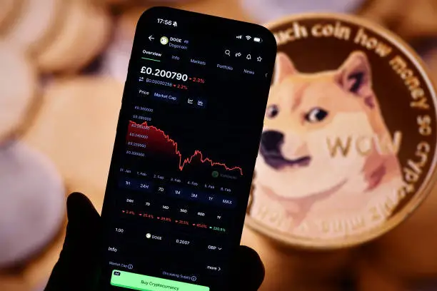 How To Time The Dogecoin Bottom And When The Price Will Reach $2 image 0