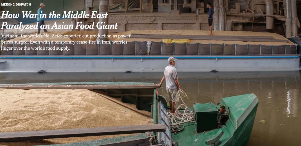 Die New York Times: Der Krieg im Nahen Osten hat den weltweit zweitgrößten Reisexporteur lahmgelegt. image 0