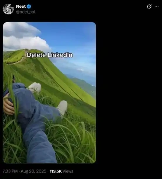 工作将死， NEET 新生：一枚 meme 币的文化起义