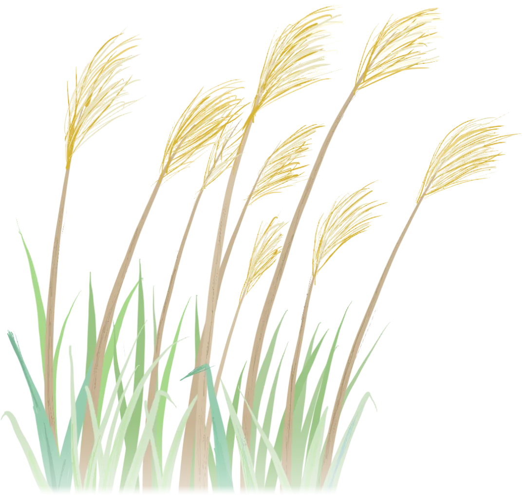 新闻外的委内瑞拉 image 0