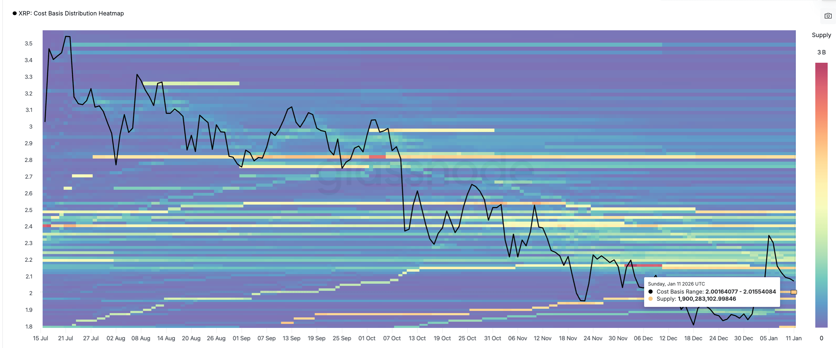 Holder dài hạn tích cực bắt đáy bất chấp giá XRP giảm 15% trong một tuần image 2