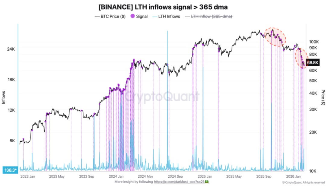 Cá voi Bitcoin mua thêm 200.000 BTC trong một tháng — nhưng cầu ngắn hạn yếu đi image 1