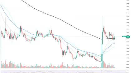 XRP Price Saved as It Bounces Over $1.3
