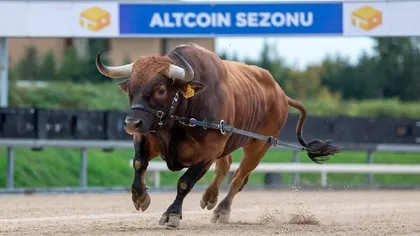 Major Breakthrough in Altcoins: First Sign of a New Altcoin Season or a Bear Market Rally? Analyst Explains!