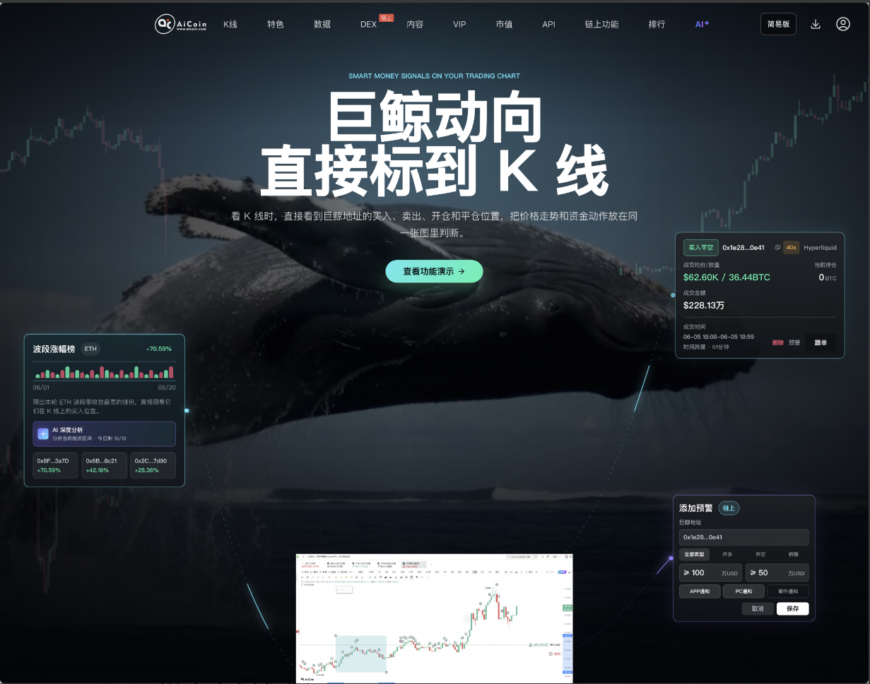 2034 胜 1 负,这才是顶级巨鲸的统治力! image 4