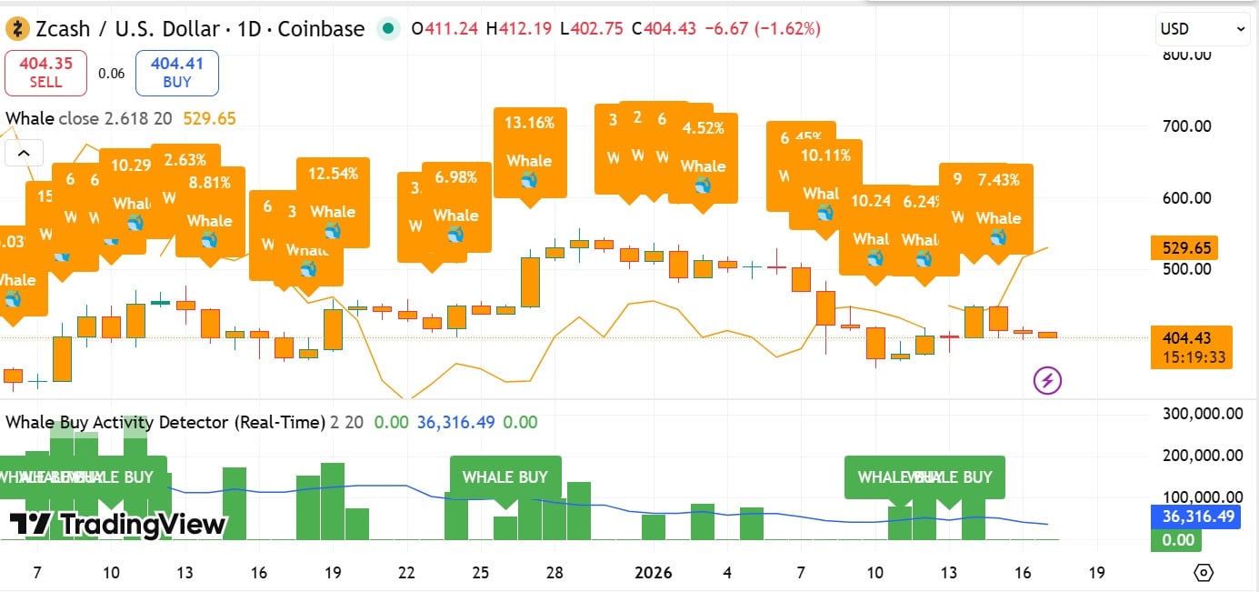 $31M ZEC whale inflows: Is Zcash ready to break $439?