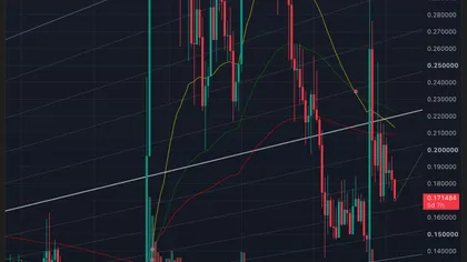 Stellar [XLM] crypto price prediction 2030: What would it take to reach $1?