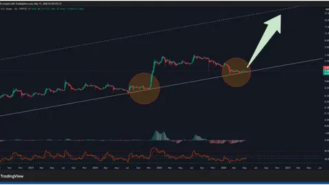  XRP демонстрирует признаки масштабного роста: аналитик повышает прогноз 