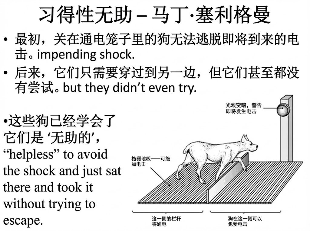 在未来的几十年，什么可以成为你最重要的技能？ 