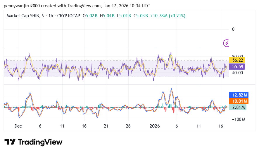 SHIB Trades at $0.058524, Holds $0.058182 Support as Whale Activity Drops 99.5%