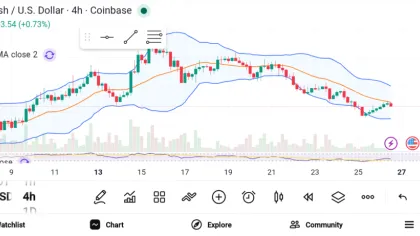 3 Altcoins to Watch in 2026 — ZEC, DASH, and DOGE
