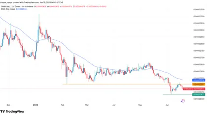 Krypto-Kursprognosen: Venice Token (VVV), Shiba Inu Coin, Zcash