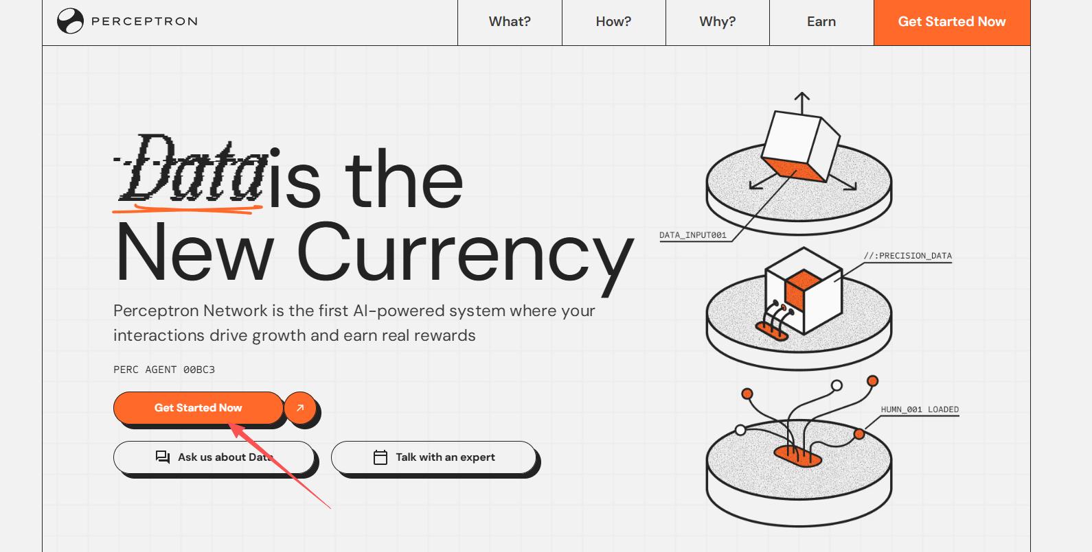 热门交互合集 | Perle Labs 新答题任务； Perceptron Network 挂机赚积分（ 3 月 4 日） image 5