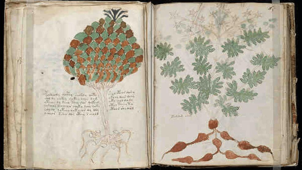 El manuscrito que desafía a los criptógrafos desde hace 600 años image 0