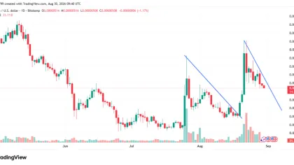 SHIB Support Test Puts Recovery in Focus