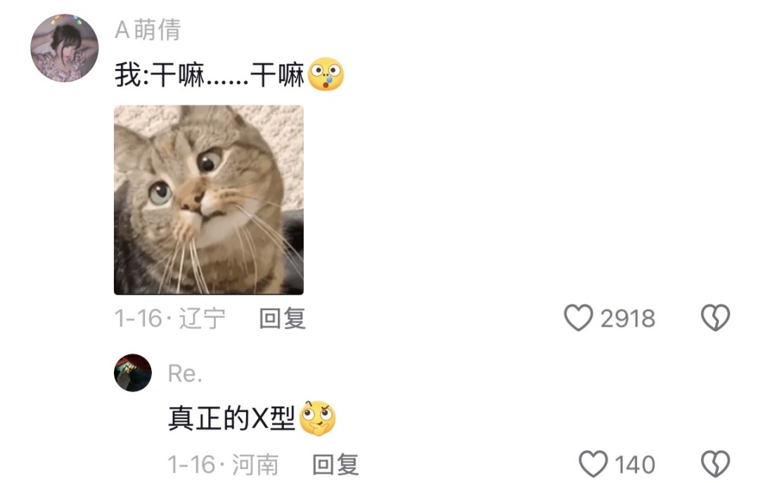 辣评｜马斯克的「X 眼神」和「不犯错」的 Clawdbot... image 9