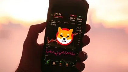 web3: SHIB新增上线与迪拜支付场景