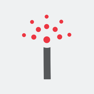 Stock Trend Visualization