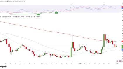 Is Shiba Inu (SHIB) Worth Holding in September? Token's Price History Provides 2 Answers