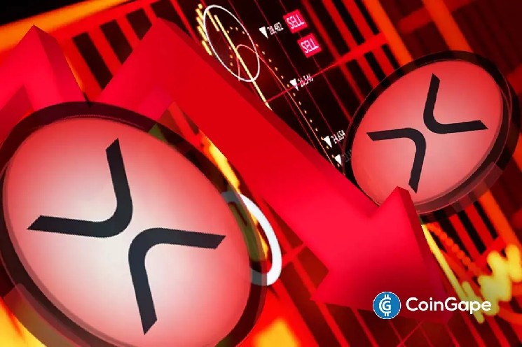 XRP Sparks Major Red Flag For Dubai Investor: “I Would Never Invest In Ripple” image 0