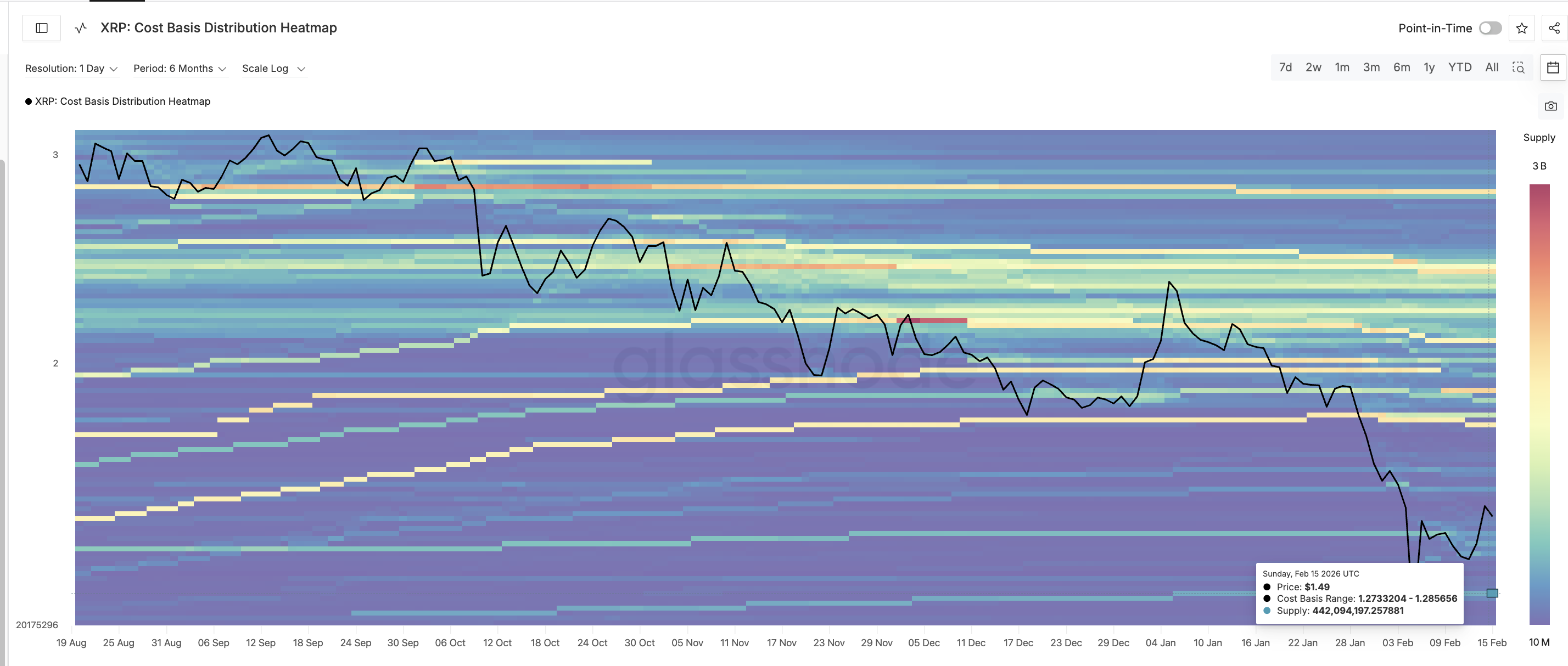 هل تتجه عملة XRP نحو 1 دولار؟ صراع بين الحيتان وحاملي العملة يحدد الخطوة التالية للسعر image 4