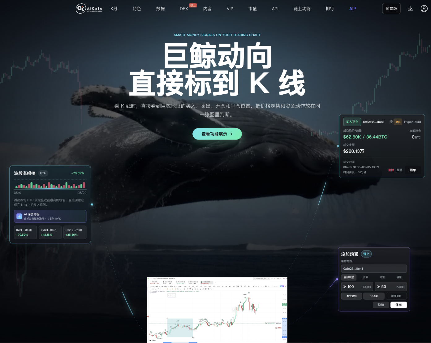 日内短线必看:“低回撤”巨鲸胜率高达 90%+!