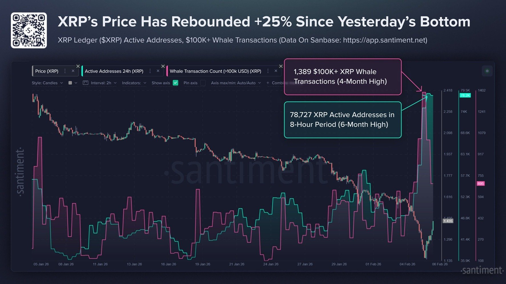 XRP Rebounds as Whale Accumulation and Network Activity Signal Price Reversal image 3