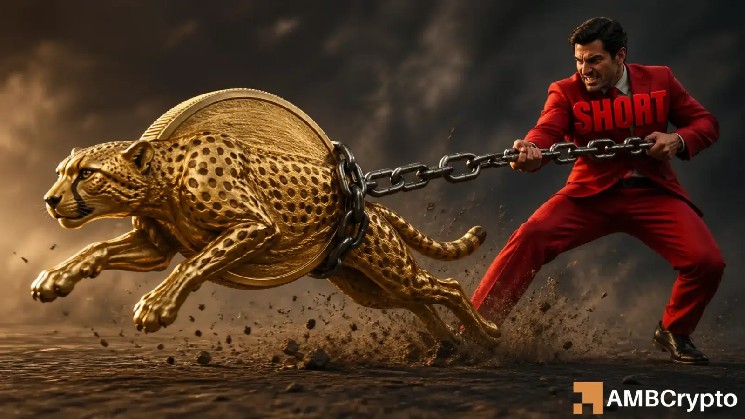 DEXE: Short pressure builds as price nears $12.8 – What now? image 1