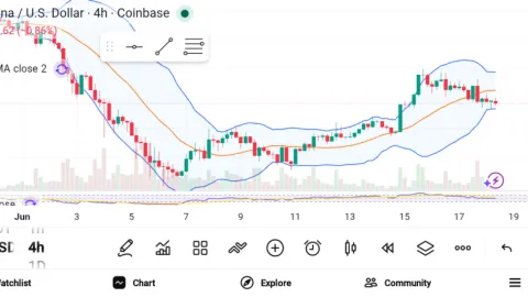Top Crypto Gainers Turning Heads Across the Market