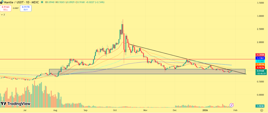 Mantle (MNT) Price Prediction 2026, 2027 – 2030: Is MNT Set for a Long-Term Bull Run? image 0
