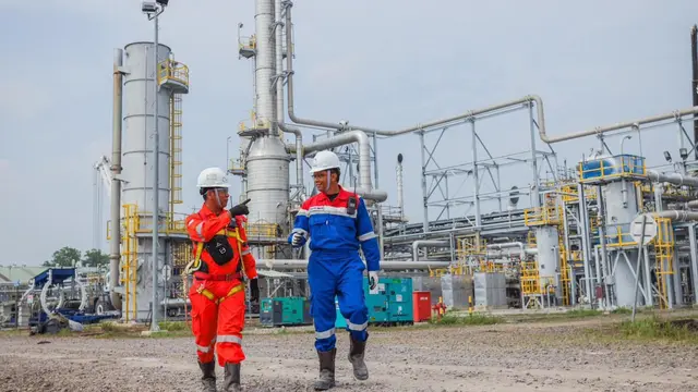 Elnusa Tingkatkan Produksi Migas Lewat Teknologi CEOR Offshore image 3