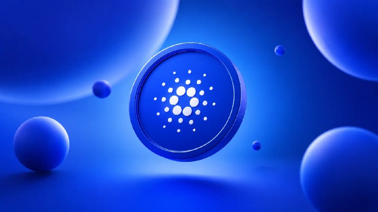 David Gokhshtein Says Midnight Could Follow Zcash Explosive Rally Path image 0