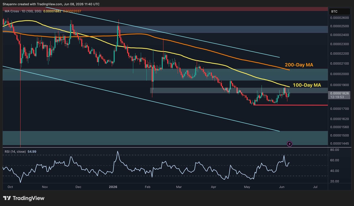 Ripple Price Analysis: Is XRP Ready for a Comeback After Reclaiming Major Support? image 3