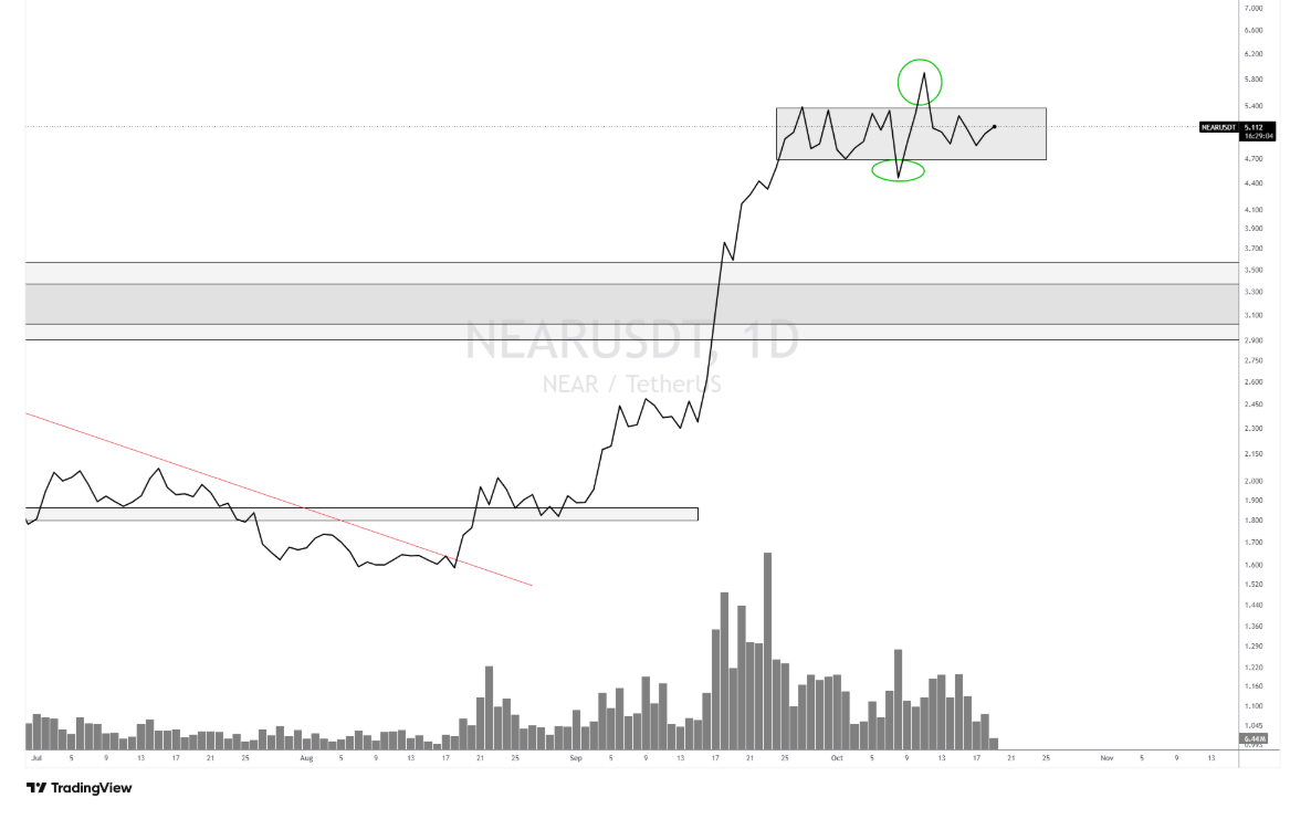 Bitcoin défend ses positions, les altcoins sous tension – Steady Lads image 4
